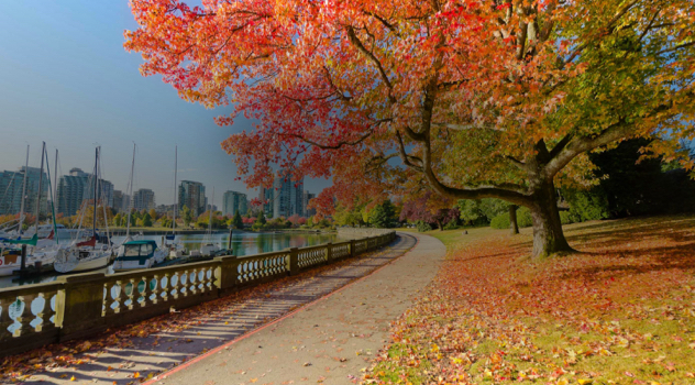Colorful Fall Foliage, Vancouver, British Columbia