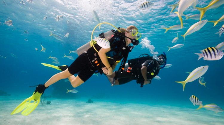 scuba diving certification