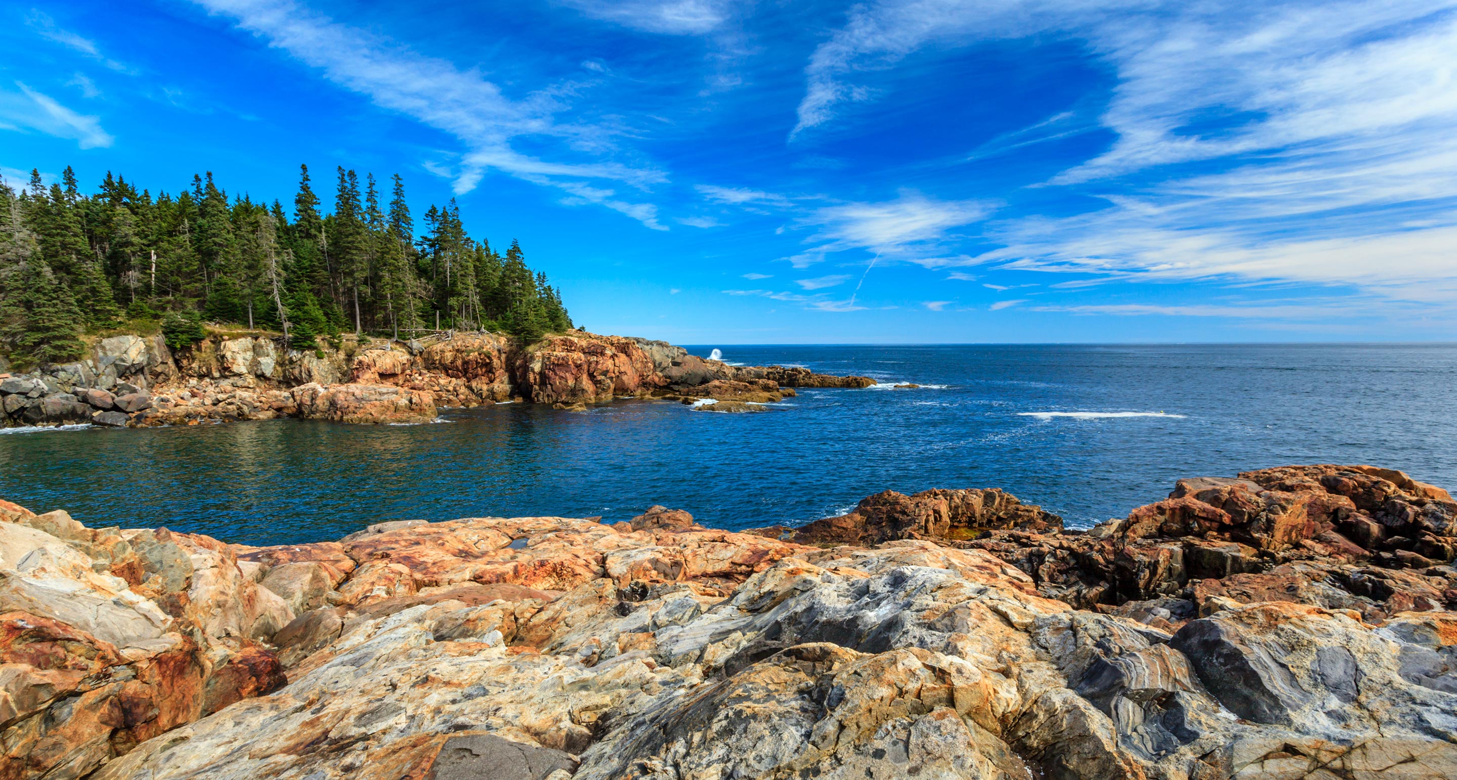 The rocky coast at Acadia National Park
