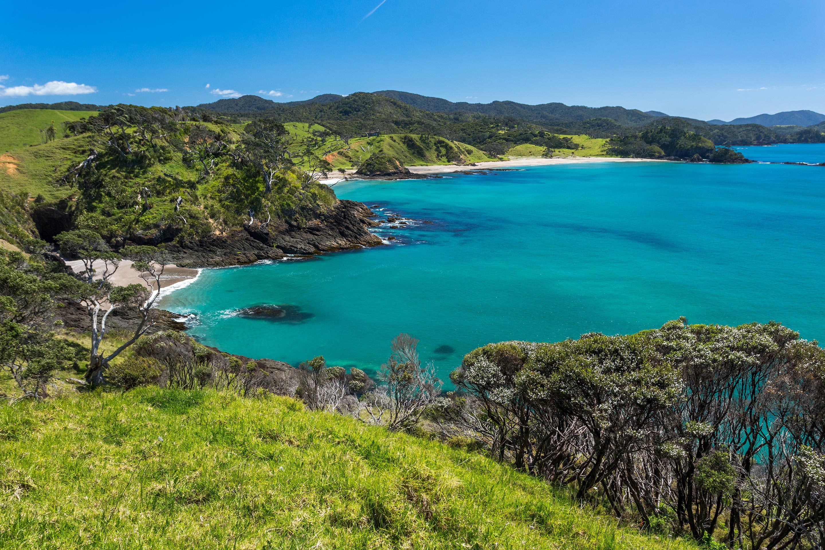 New Zealand Cruise