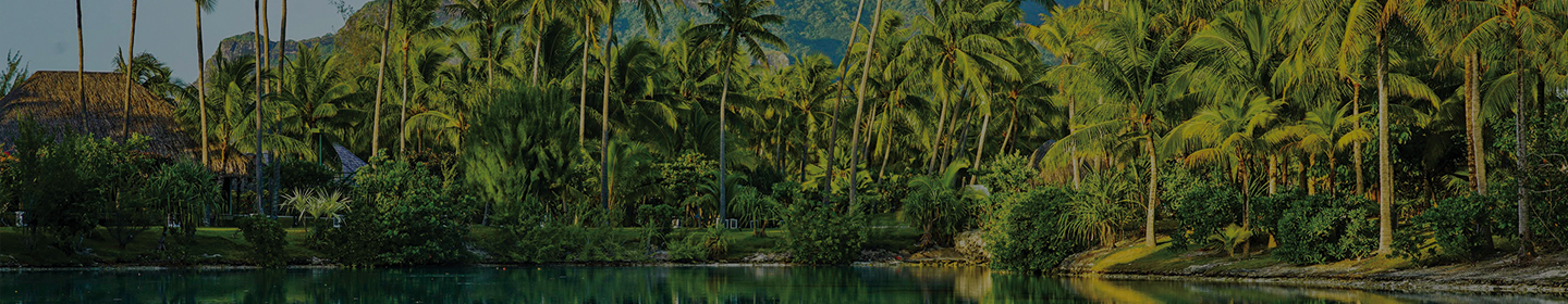 bora bora french polynesia palm trees crystal clear water dt dark