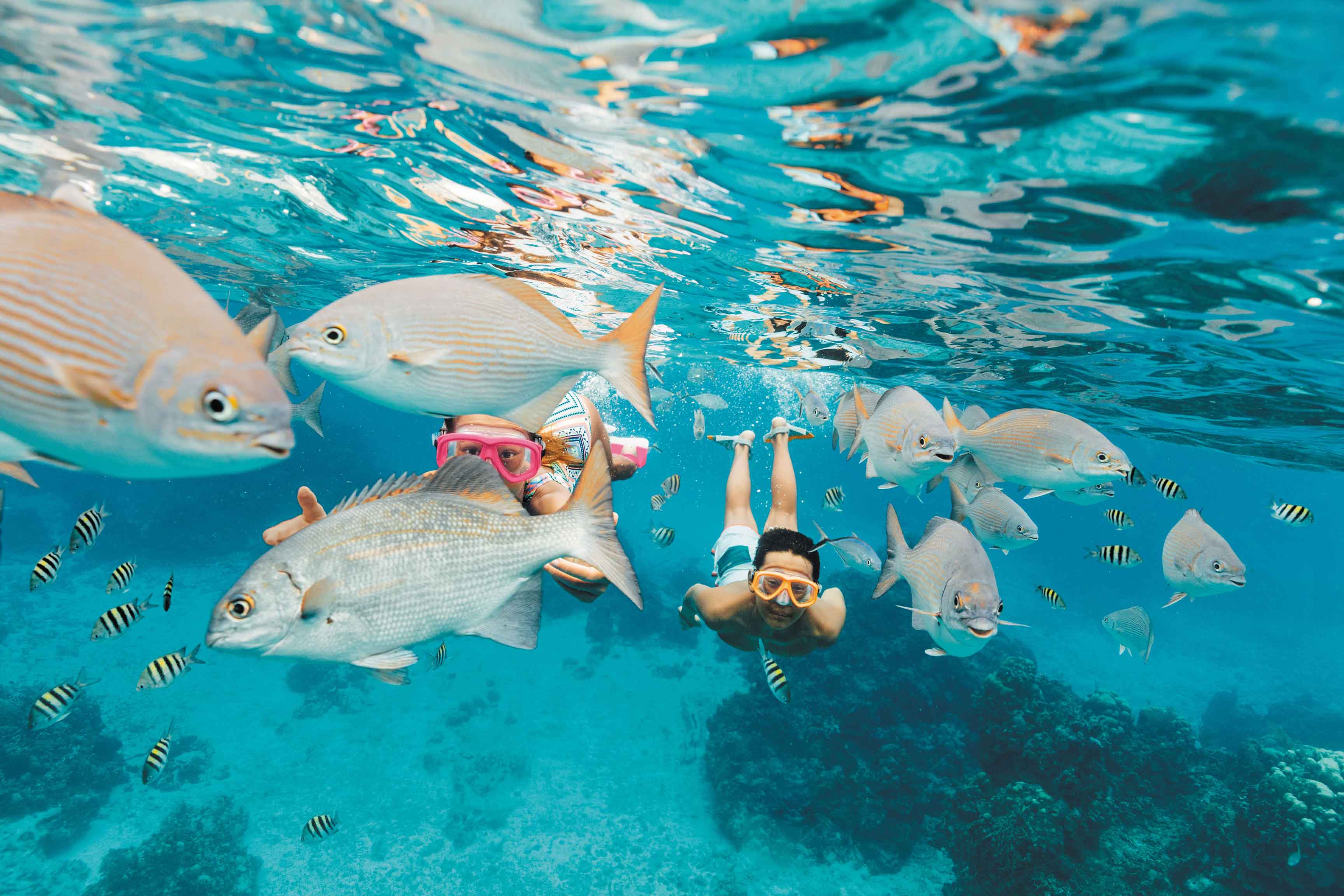 Two people snorkeling in Cozumel, Mexico