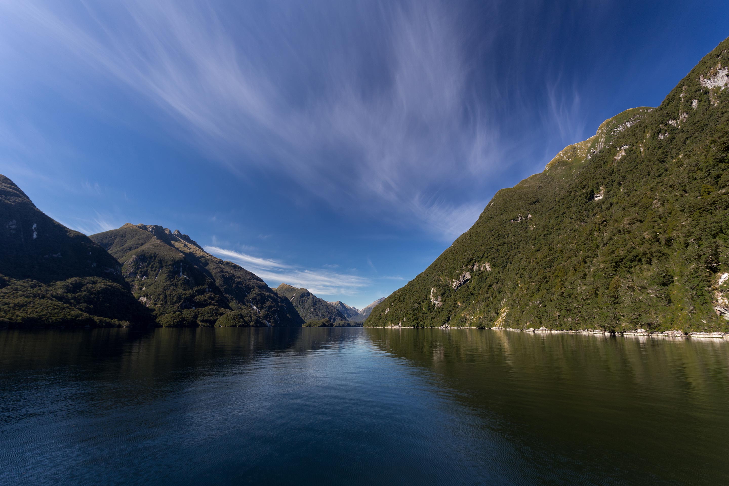 New Zealand Cruise