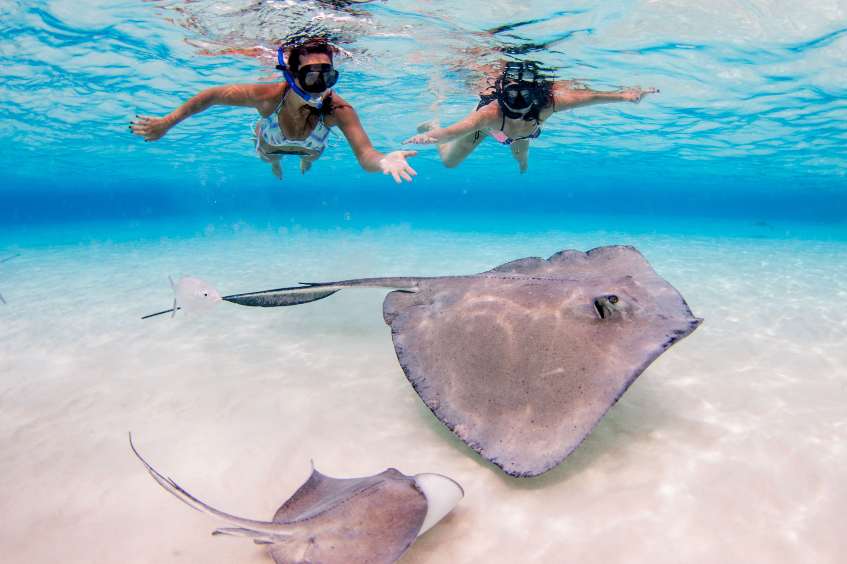 Two women swimming with stingrays in Grand Cayman