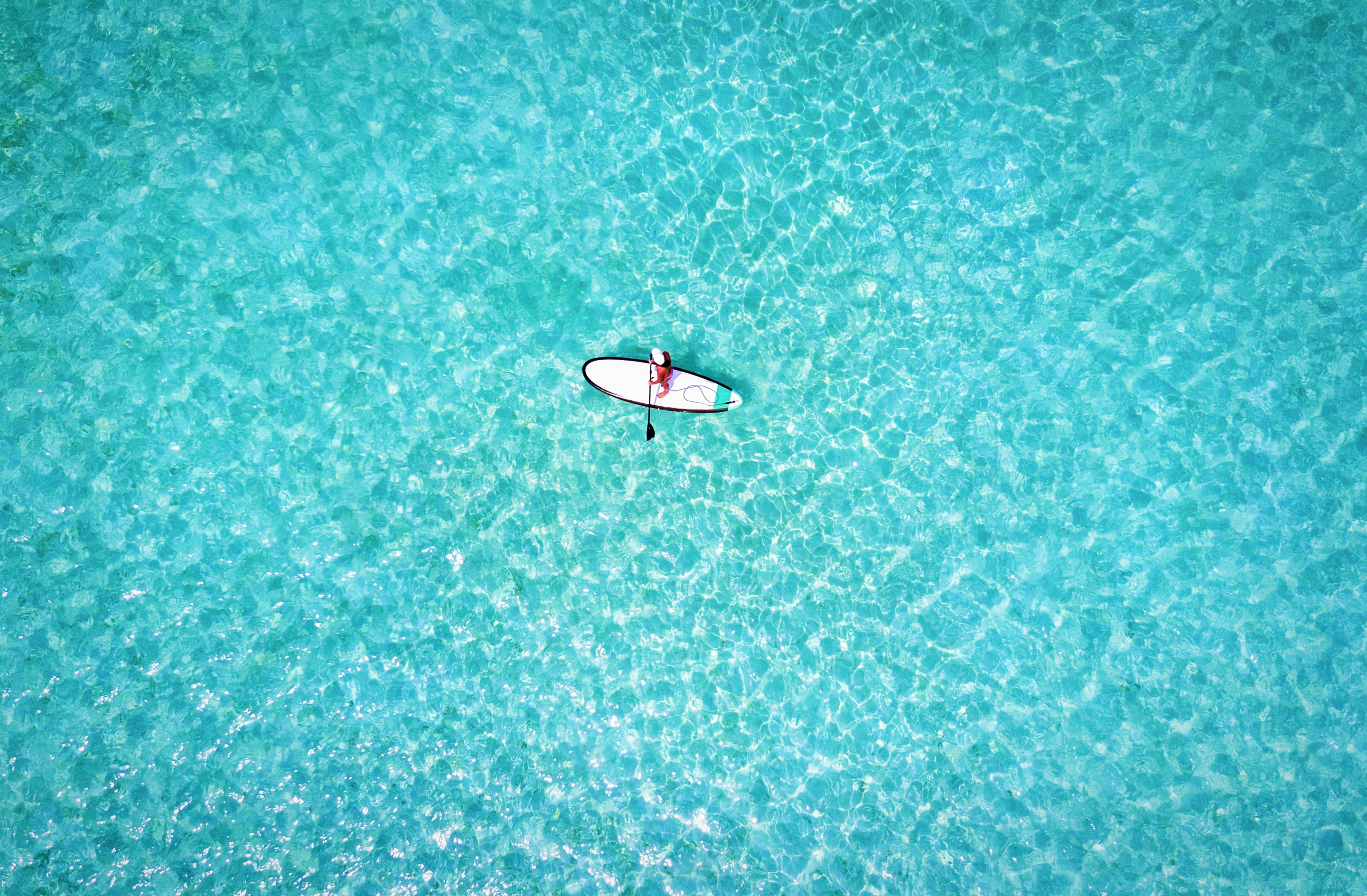 South Pacific Cruise
