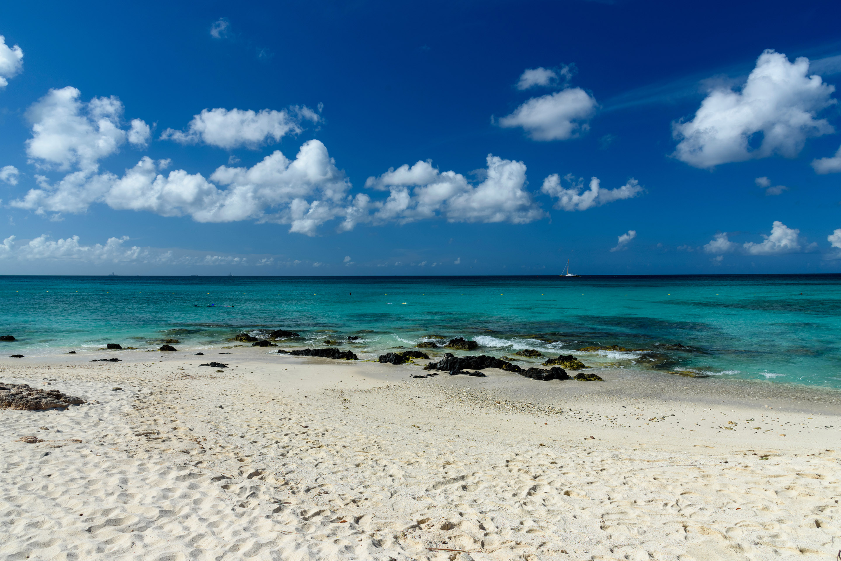 10 Best Beaches in Aruba to Visit Royal Caribbean Cruises