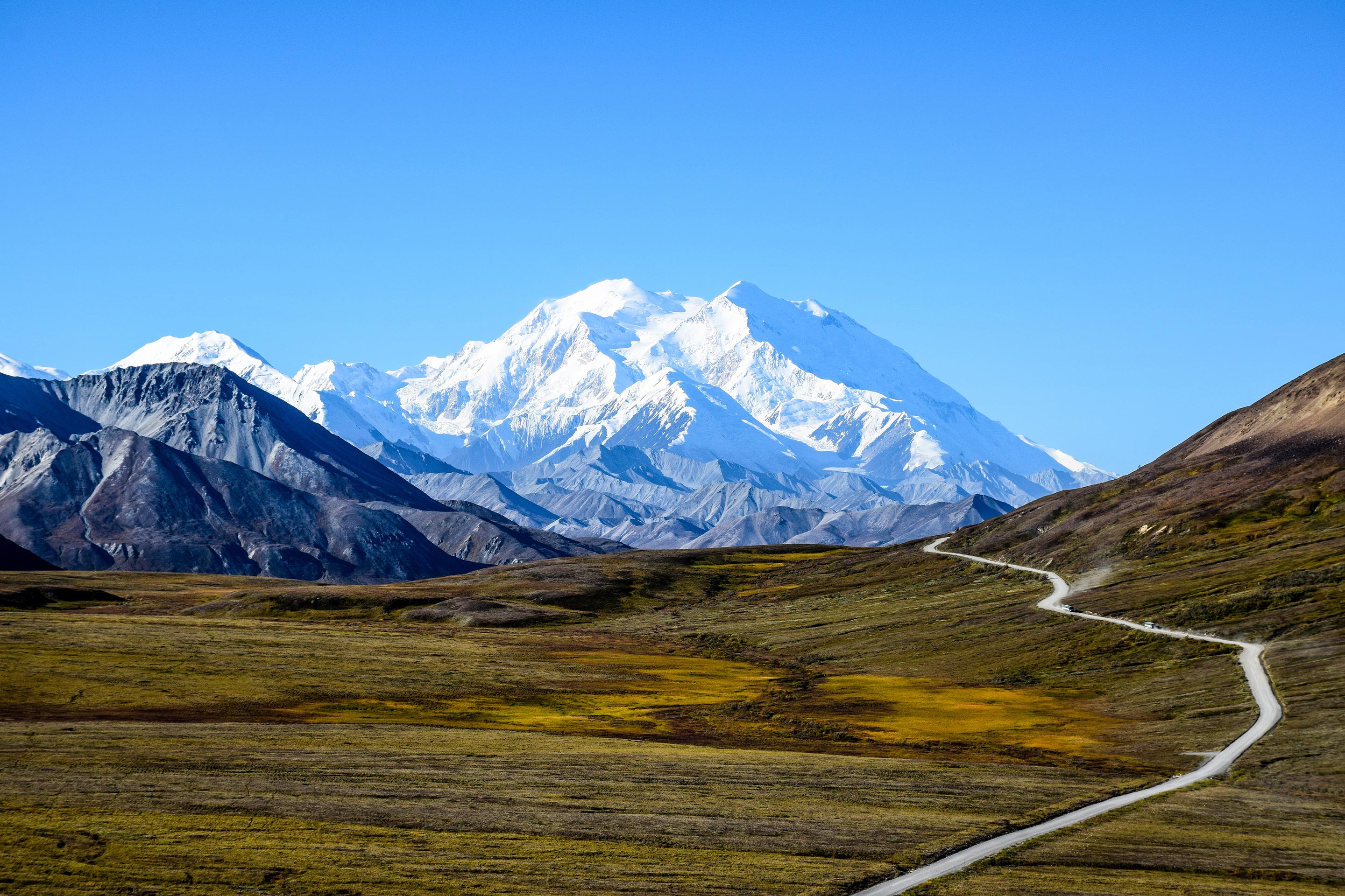 royal caribbean denali excursions