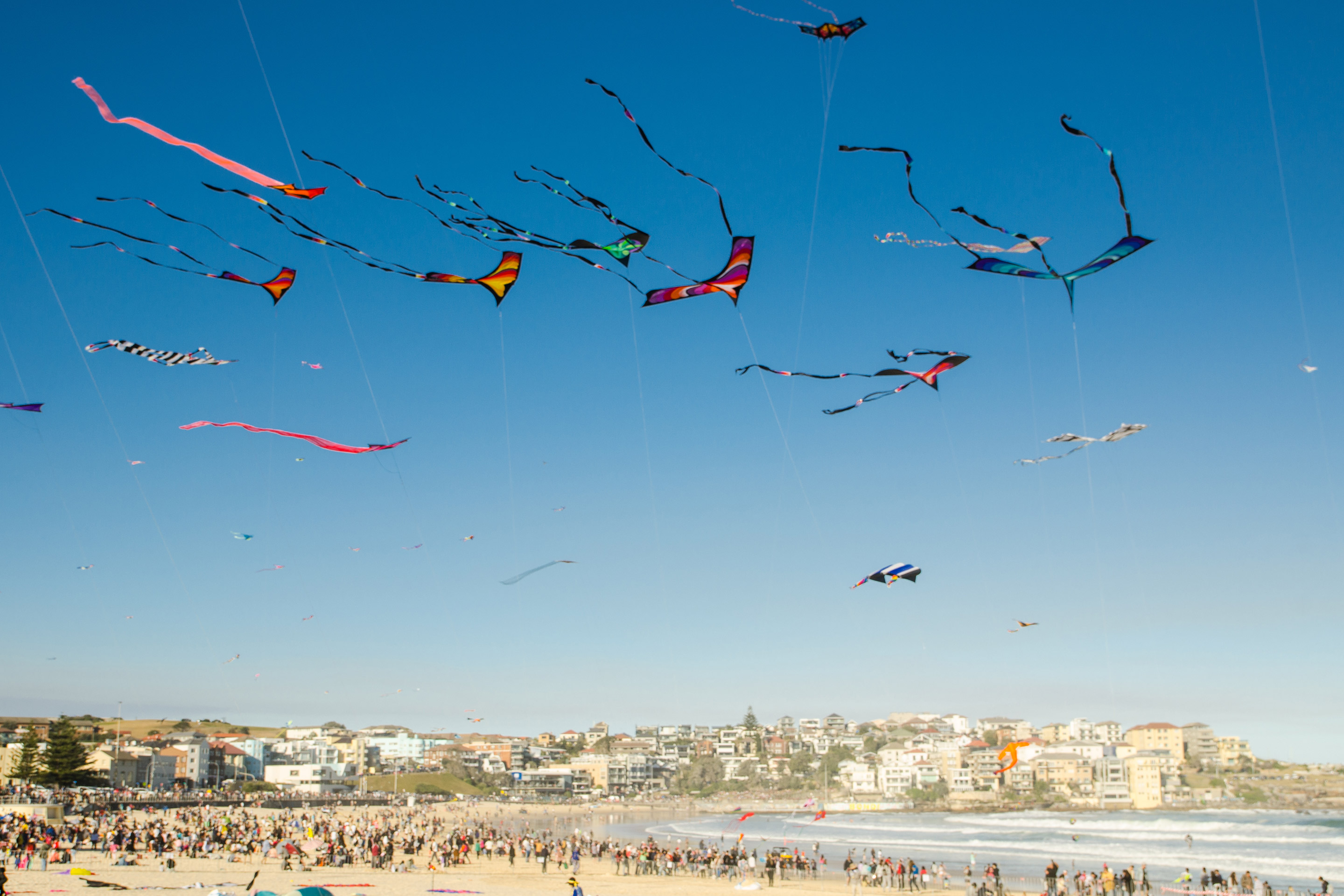 Sky Full Kites Kite Flying Festival Bondi Beach Sydney Australia