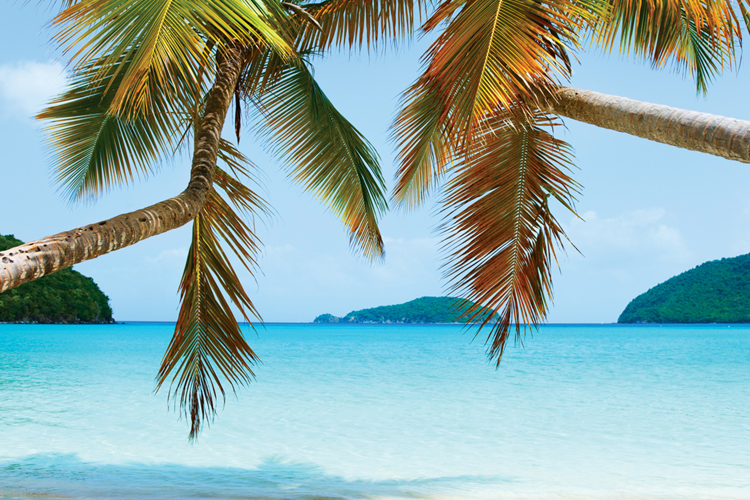  Tropical Beach Virgin Islands. 