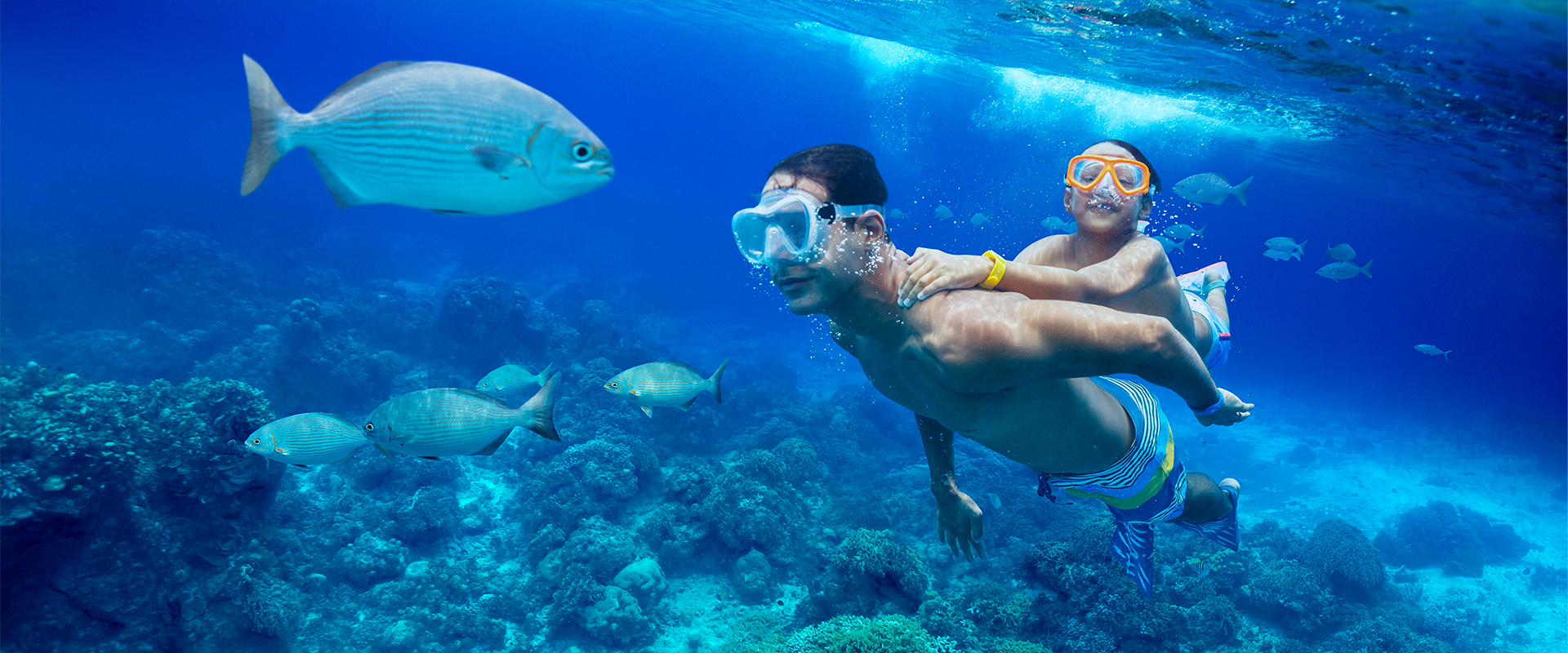 Son and Dad Snorkeling in Cozumel