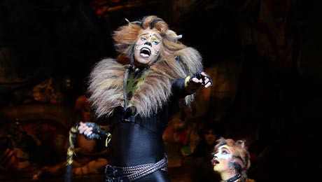 broadway shows tile onboard activities