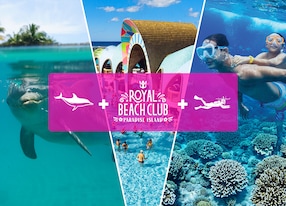ultimate nassau day dolphin pass snorkel logo only