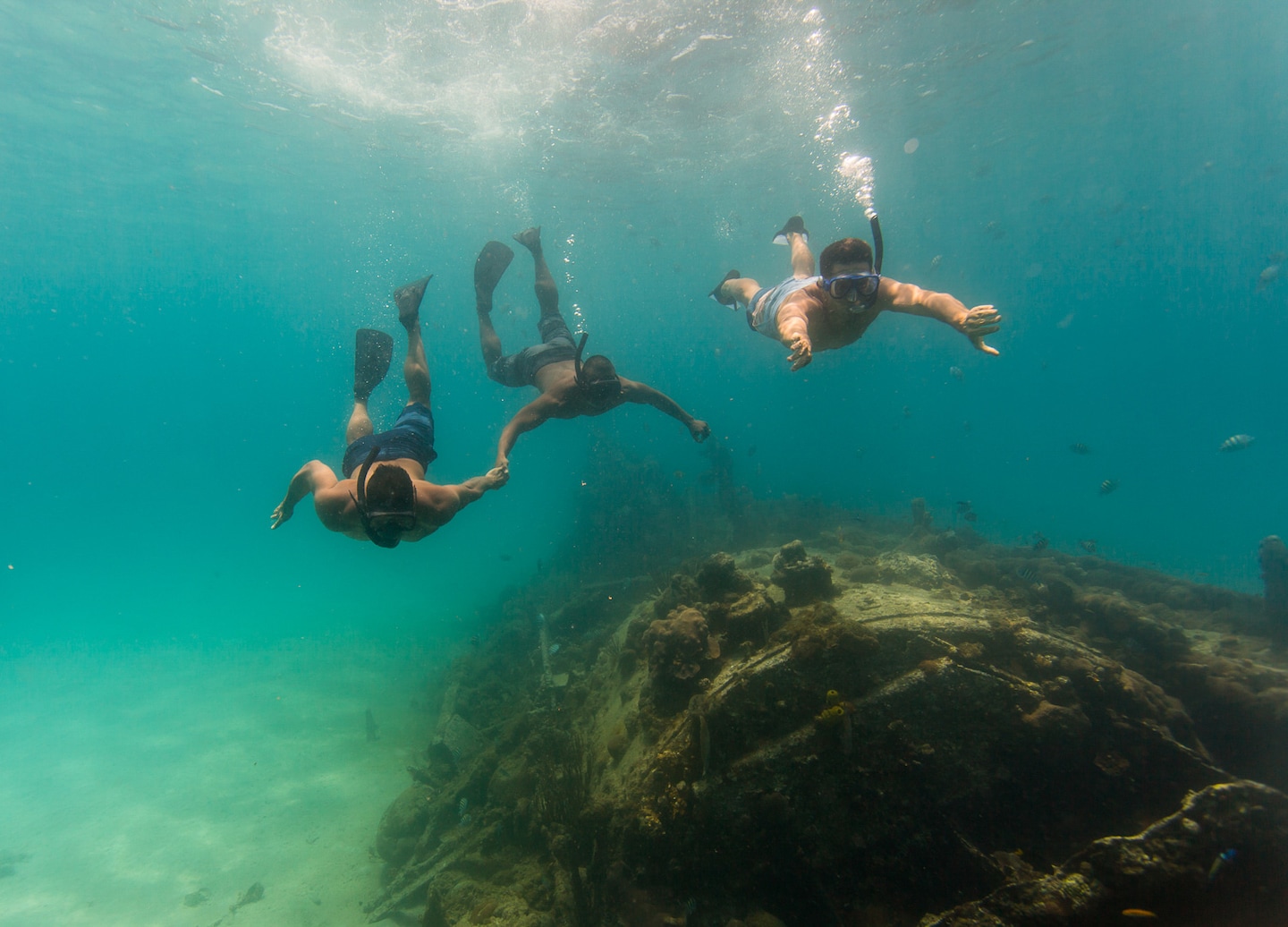 Snorkel or dive Barbados’ reefs, shipwrecks, and turtle-filled waters from Bridgetown. - Bridgetown, Barbados