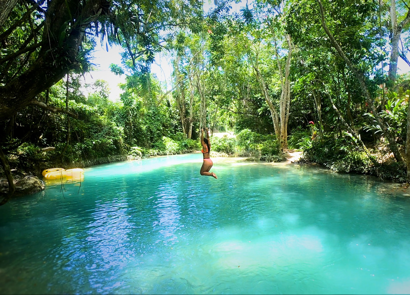 Rope swing drops into Blue Hole’s bright turquoise pool. - Falmouth, Jamaica
