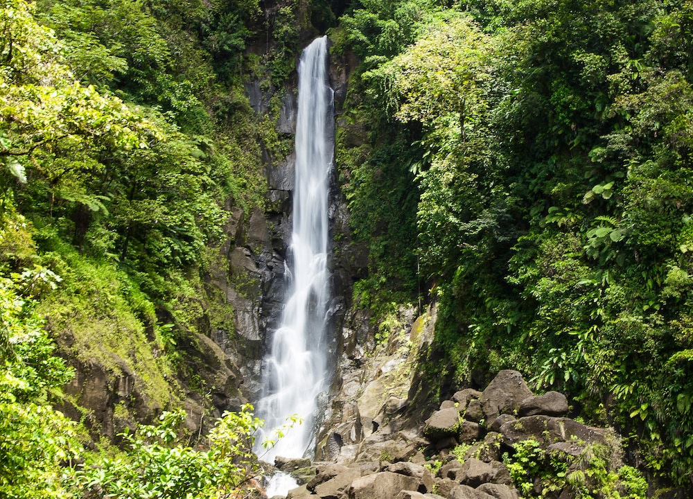 Cascade dans la forêt tropicale de la Dominique