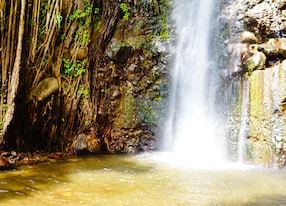 beautiful dark view falls and wild nature around at saint vincent and the grenadines caribbean sea