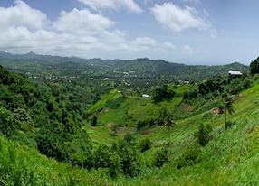 houses dot the hillsides of the mesopotamia valley on the island of st vincent