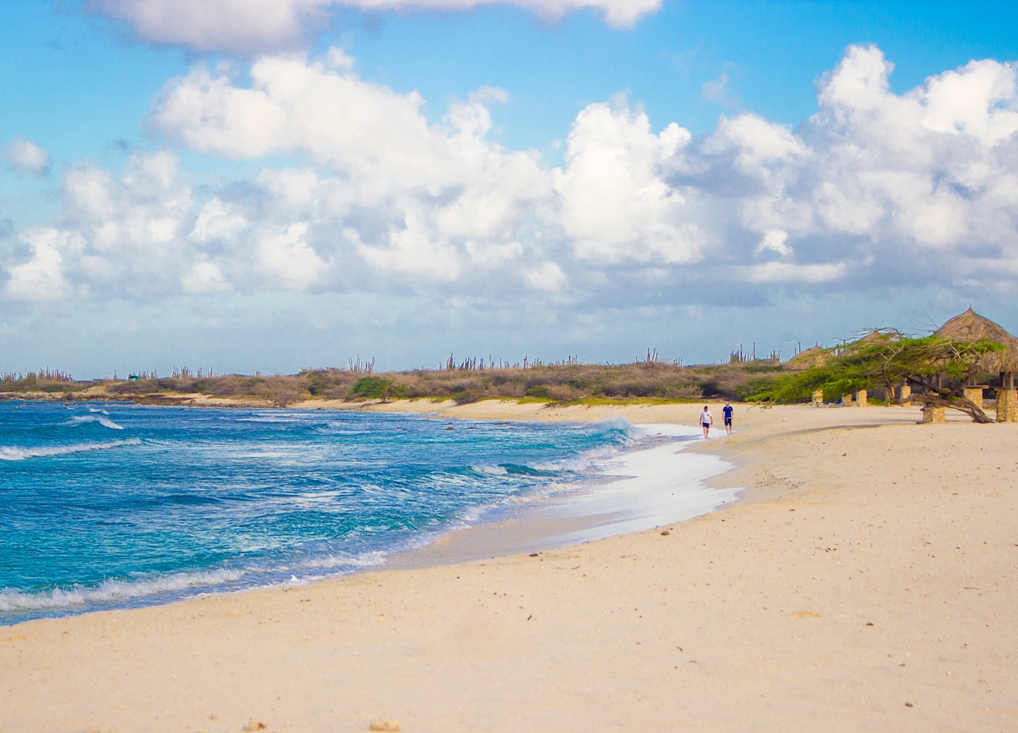 Clear turquoise waves roll gently onto Aruba’s bright, sunlit shoreline. - Aruba