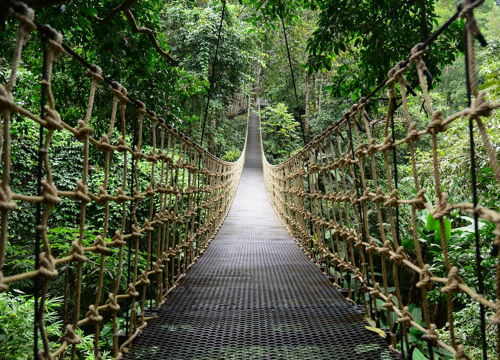 The Best Time to Visit Belize: A Seasonal Guide
