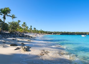 catalina island playa de la isla catalina caribbean tropical beach and sea