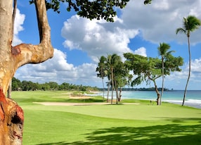 dominican republic golfing dining beaches