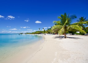 tropical beach bayahibe dominican republic