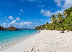 trunk bay beach in the virgin islands national park on the caribbean island of st john in the us
