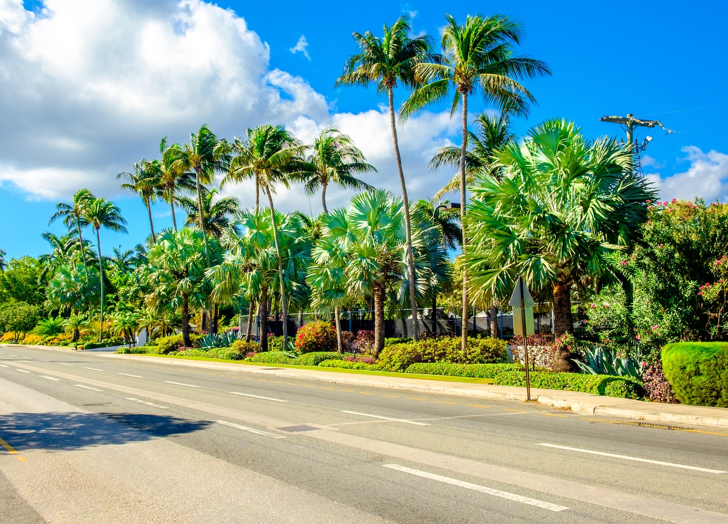 A Grand Cayman cycling tour combines scenic exploration, historic sites, and Seven Mile Beach relaxation. - George Town, Grand Cayman