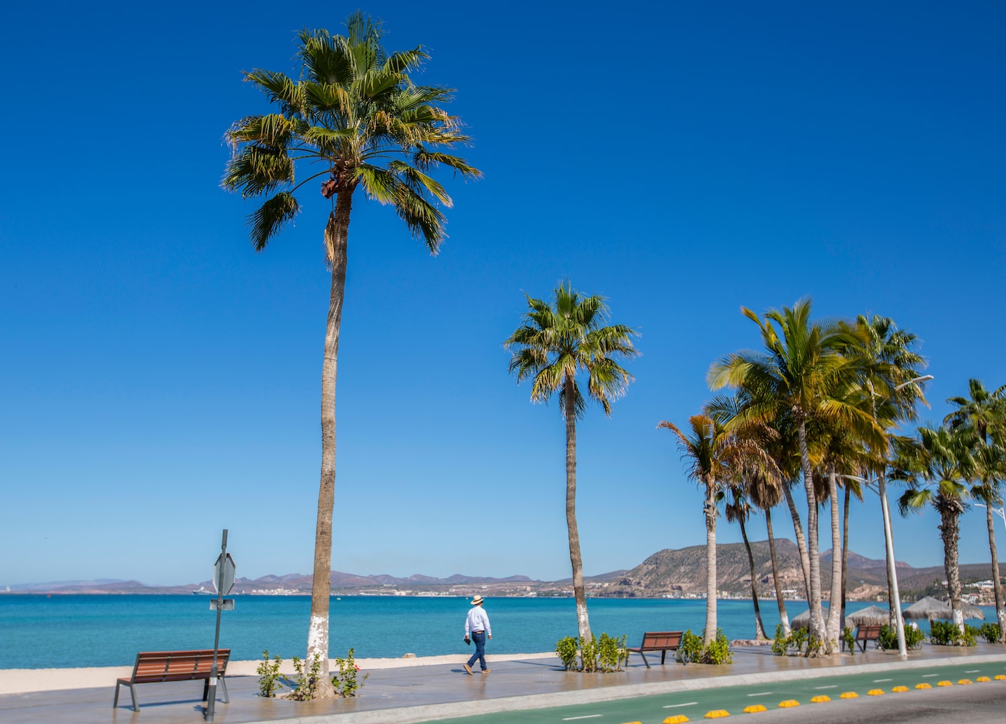Sunlit La Paz Malecón with palm trees, waterfront sculptures, and blue Sea of Cortez views. - La Paz, Mexico