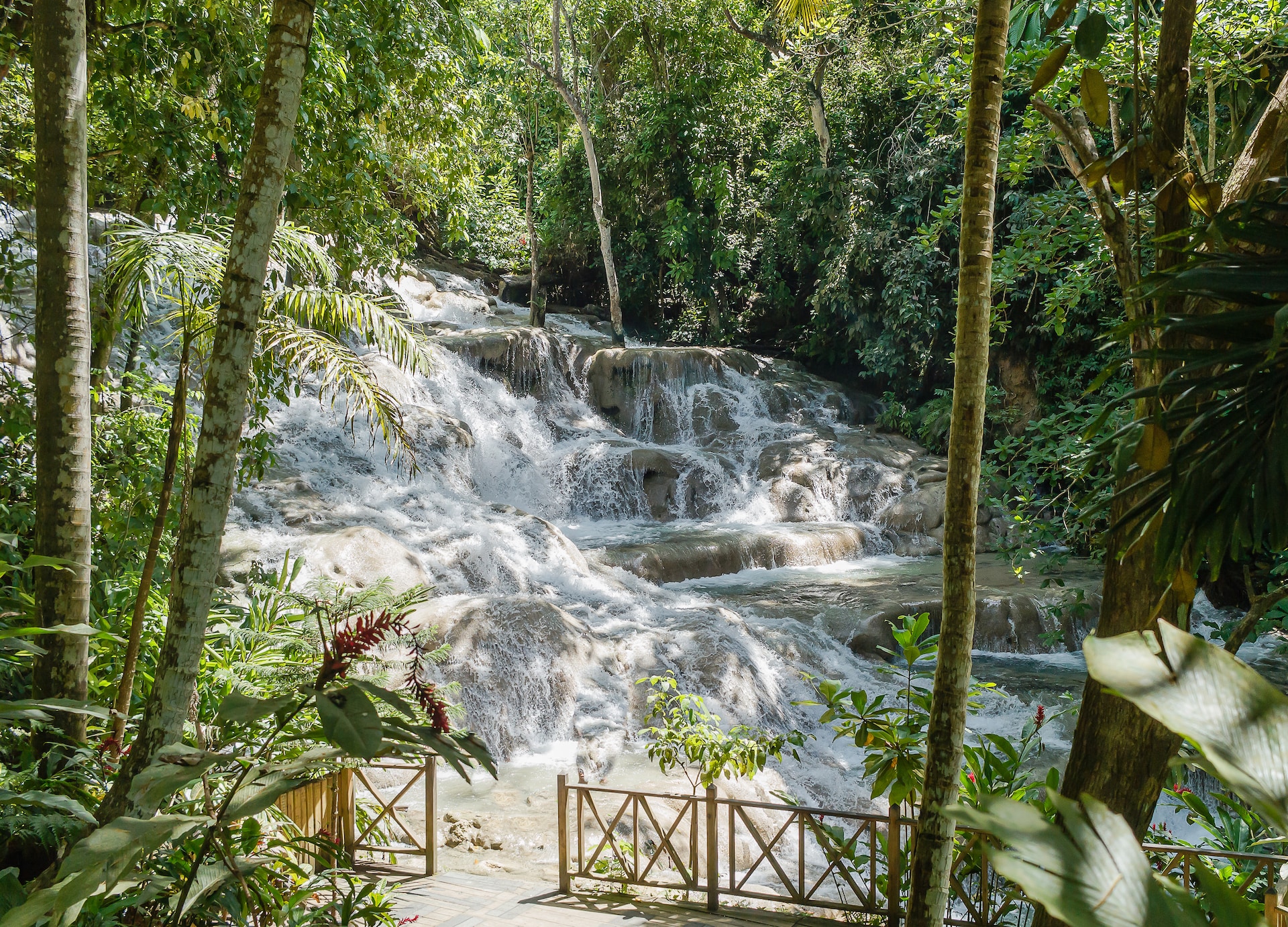 dunn s river falls vacation in jamaica