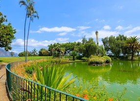 green water lake in santa catarina tropical city park gardens of funchal madeira island portugal