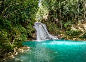 beautiful jungle blue hole waterfalls in jamaica ocho rios in