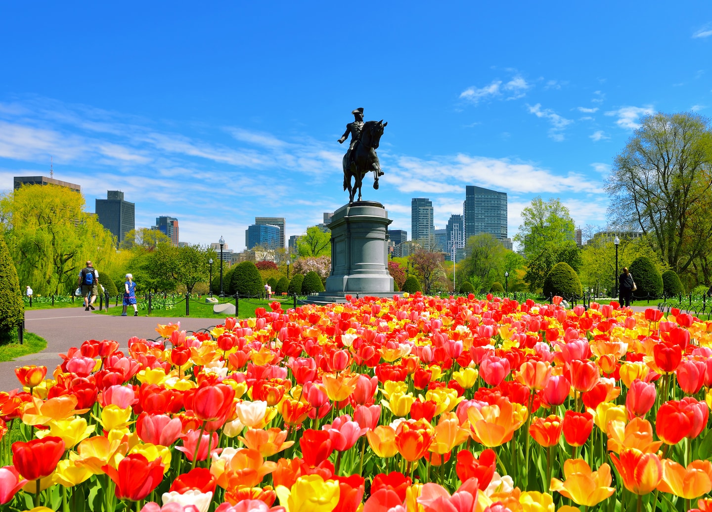 Boston Public Garden’s calm pond reflects trees and flowers, with swan boats gliding across the water. - Boston, Massachusetts