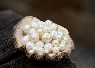 pearl on shell and on nature background
