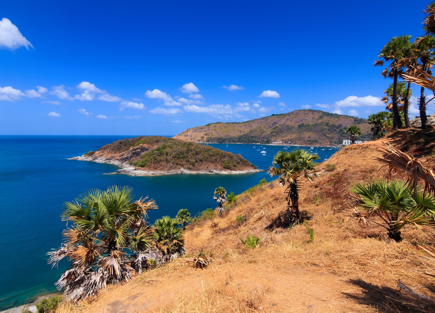Nai Harn Beach offers calm swims; nearby Promthep Cape delivers dramatic cliffside sunsets. - Phuket, Thailand