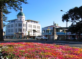 stunning flowers in front of the governor s old residence on marine parade in napier new zealand
