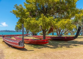 maori war canoe at waitangi treaty grounds in new zealand