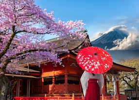 cherry blossoms of shrine fujisan hongu sengentaisha fujinomiya city japan and mt fuji background