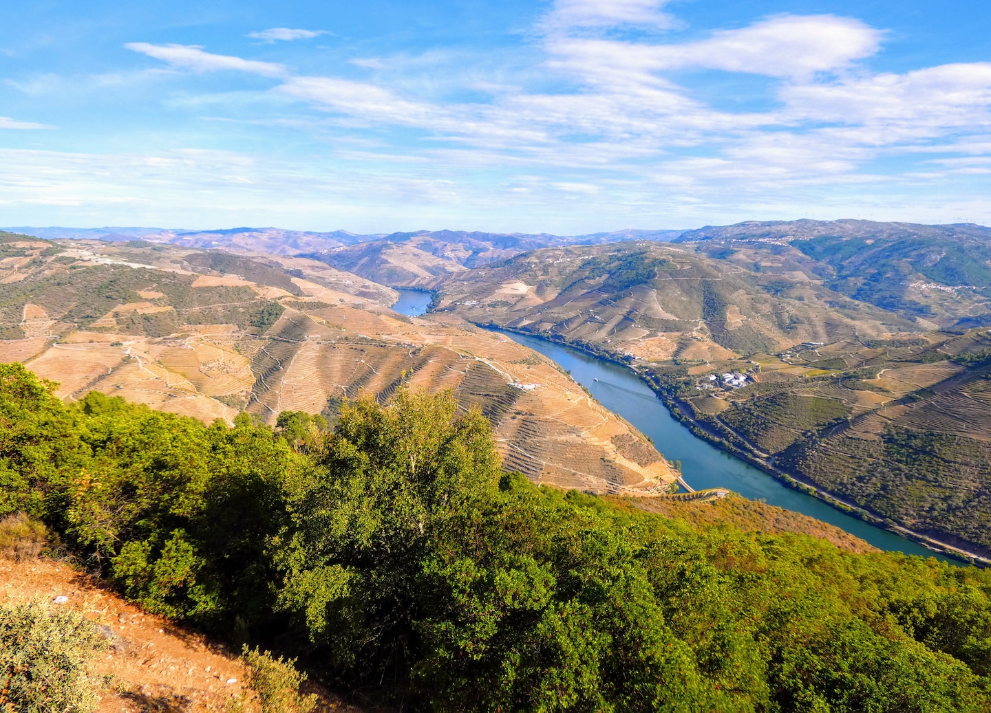 Galafura Viewpoint offers sweeping Douro Valley vineyard views, perfect for photos, picnics, and peaceful countryside moments. - Porto, Portugal