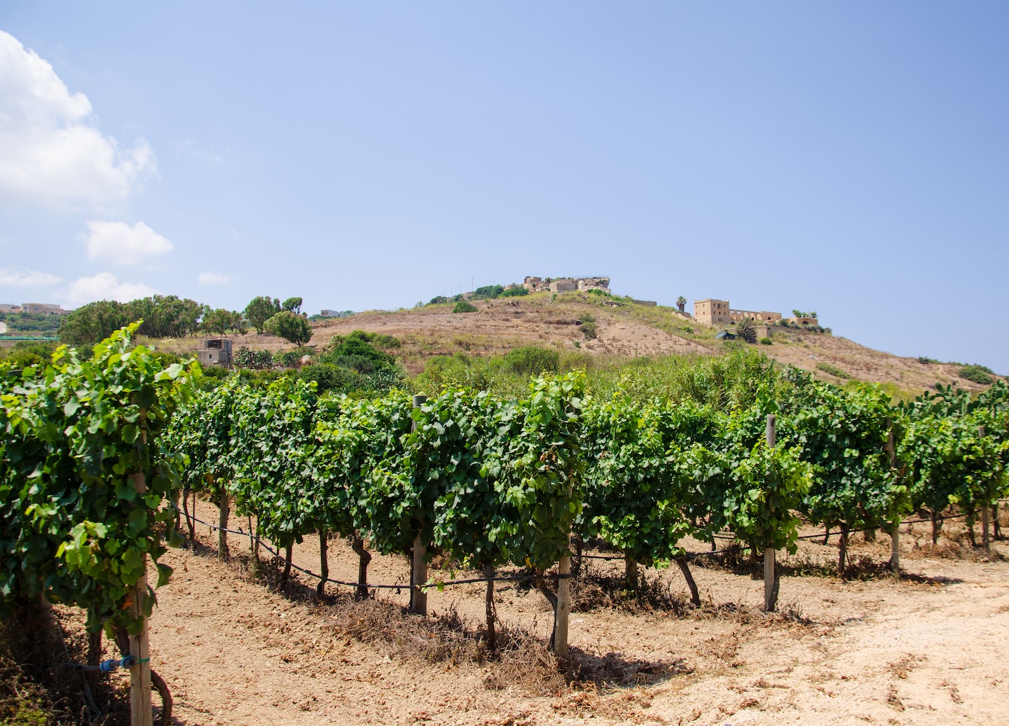 Tour Vila Nova de Gaia port cellars, taste ruby and tawny, enjoy views in Porto. - Porto, Portugal