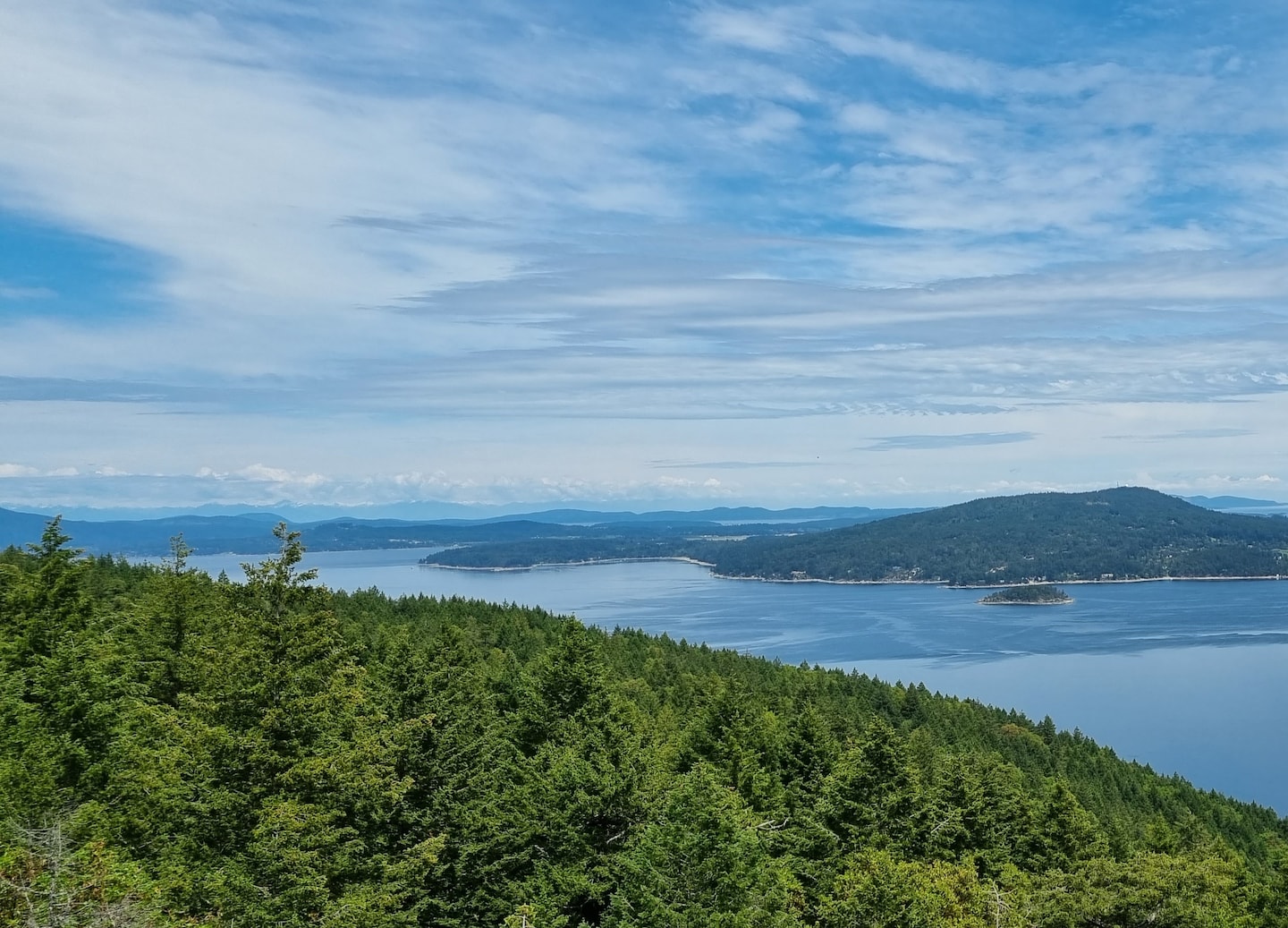 Visitors walk the elevated Malahat SkyWalk, overlooking forested hills and coastal waters on Vancouver Island. - Victoria, British Columbia