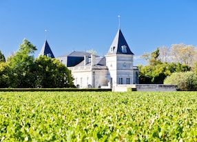 vineyard chateau tronquoy lalande saintestephe bordeaux