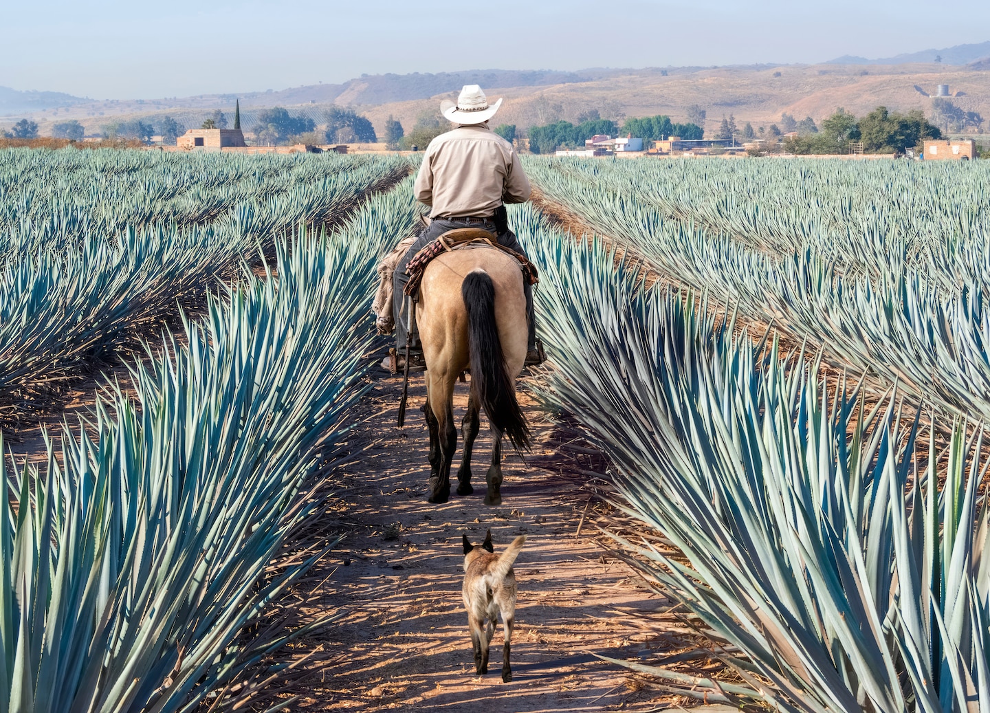 Visit mezcal distilleries near Huatulco to learn traditions, taste agave spirits, and experience Oaxacan culture. - Huatulco, Mexico