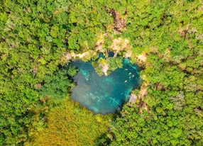 heart shaped cenote tulum mexico