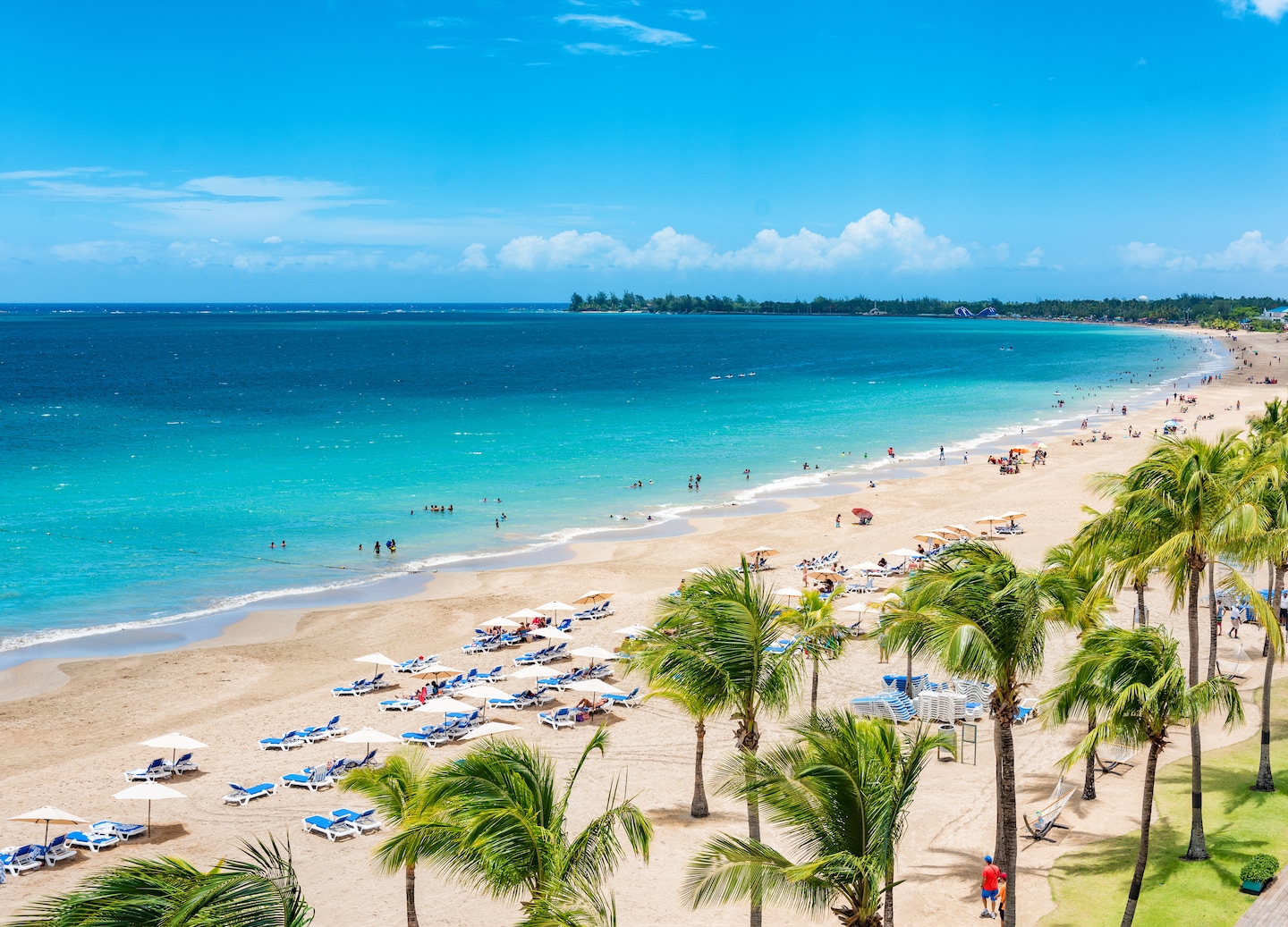 A quiet San Juan beach features soft sand, palm trees, and bright turquoise Caribbean water. - San Juan, Puerto Rico