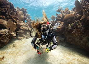 scuba diving utila bay islands honduras