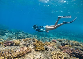 snorkeling coral reef reunion island france