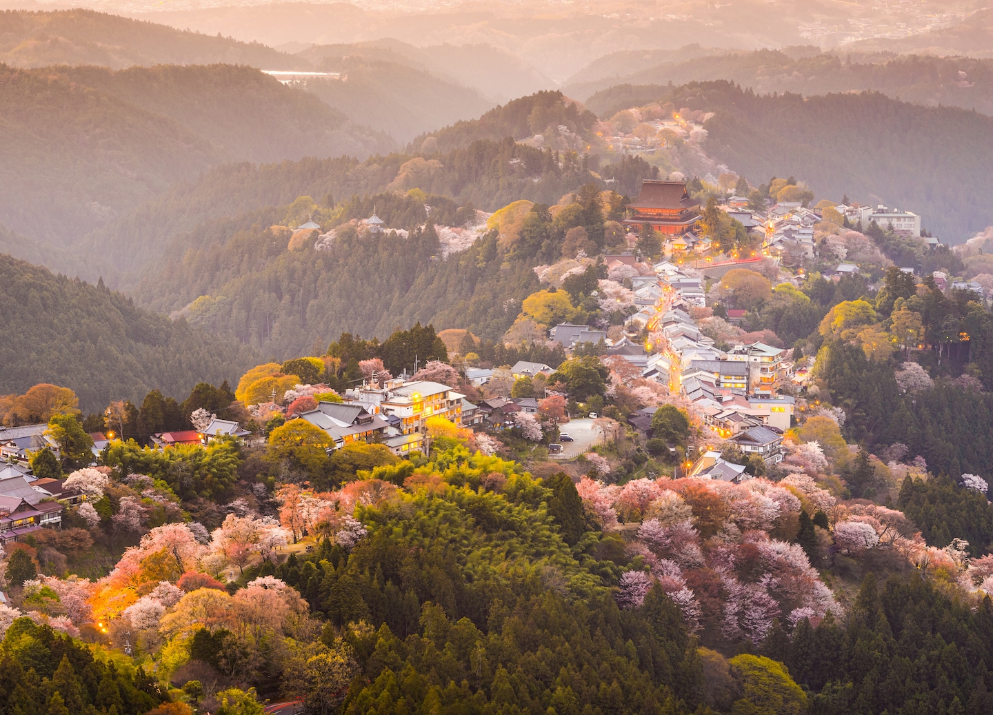 Visit the Tōdai-ji Temple, Japan's first capital.