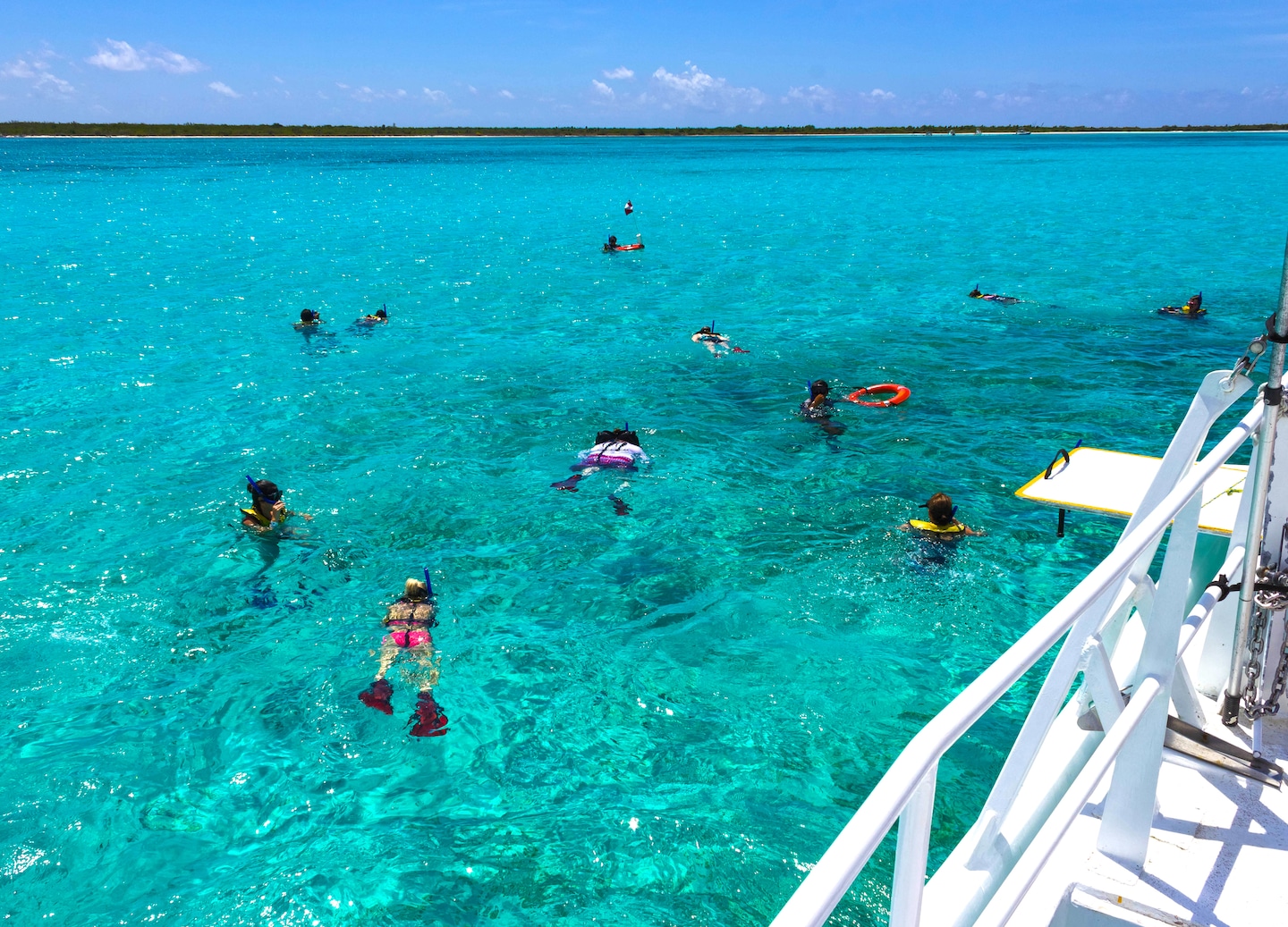 A group snorkels in clear water. - Royal Naval Dockyard, Bermuda