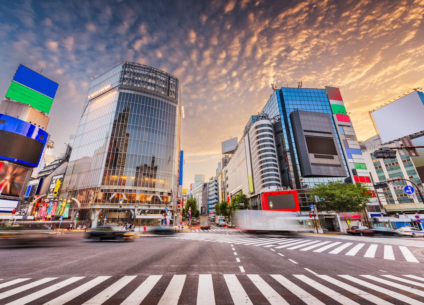 Shibuya Crossing, a gorgeous street intersection in Tokyo.